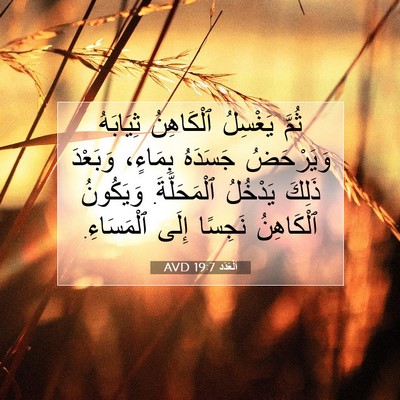 Picture 07 - اَلْعَدَد 19:7 AVD - ثُمَّ يَغْسِلُ ٱلْكَاهِنُ - Bible Verse Picture