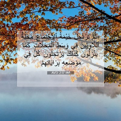 Picture 07 - اَلْعَدَد 2:17 AVD - «ثُمَّ تَرْتَحِلُ - Bible Verse Picture
