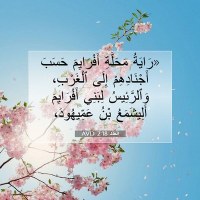Picture 07 - اَلْعَدَد 2:18 AVD - «رَايَةُ مَحَلَّةِ - Bible Verse Picture