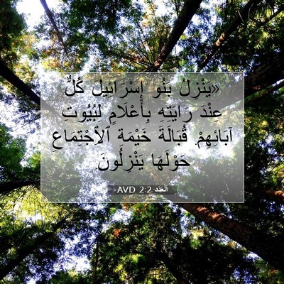 Picture 07 - اَلْعَدَد 2:2 AVD - «يَنْزِلُ بَنُو - Bible Verse Picture
