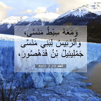 Picture 07 - اَلْعَدَد 2:20 AVD - وَمَعَهُ سِبْطُ مَنَسَّى، - Bible Verse Picture