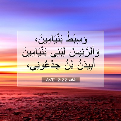 Picture 07 - اَلْعَدَد 2:22 AVD - وَسِبْطُ بَنْيَامِينَ، - Bible Verse Picture
