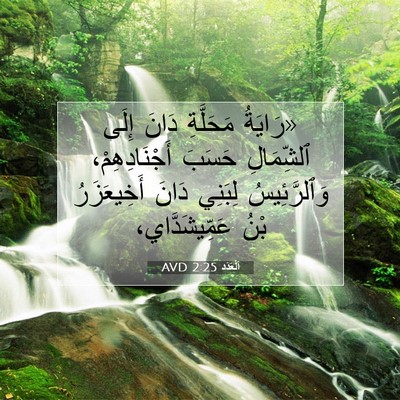 Picture 07 - اَلْعَدَد 2:25 AVD - «رَايَةُ مَحَلَّةِ دَانَ - Bible Verse Picture