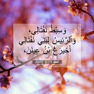 Picture 07 - اَلْعَدَد 2:29 AVD - وَسِبْطُ نَفْتَالِي، - Bible Verse Picture