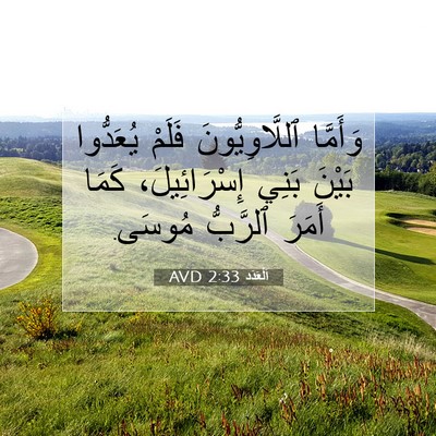 Picture 07 - اَلْعَدَد 2:33 AVD - وَأَمَّا ٱللَّاوِيُّونَ - Bible Verse Picture