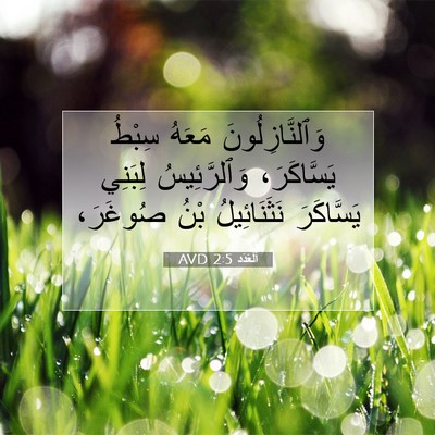 Picture 07 - اَلْعَدَد 2:5 AVD - وَٱلنَّازِلُونَ مَعَهُ - Bible Verse Picture