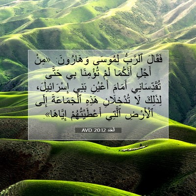 Picture 07 - اَلْعَدَد 20:12 AVD - فَقَالَ ٱلرَّبُّ لِمُوسَى - Bible Verse Picture