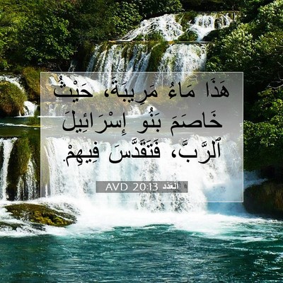 Picture 07 - اَلْعَدَد 20:13 AVD - هَذَا مَاءُ مَرِيبَةَ، - Bible Verse Picture
