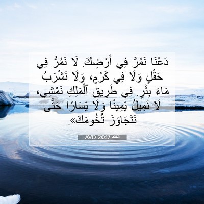 Picture 07 - اَلْعَدَد 20:17 AVD - دَعْنَا نَمُرَّ فِي - Bible Verse Picture