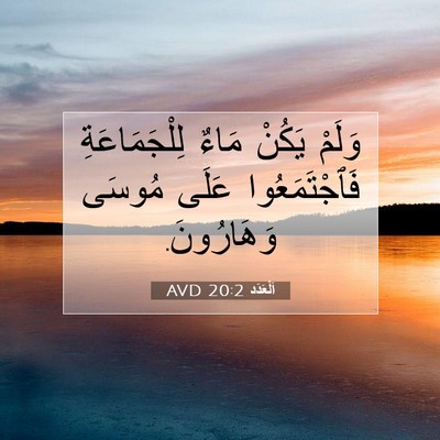 Picture 07 - اَلْعَدَد 20:2 AVD - وَلَمْ يَكُنْ مَاءٌ - Bible Verse Picture