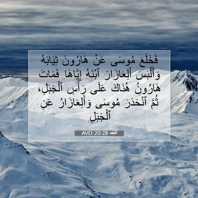 Picture 07 - اَلْعَدَد 20:28 AVD - فَخَلَعَ مُوسَى عَنْ - Bible Verse Picture