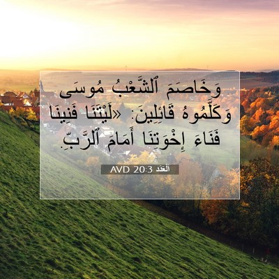 Picture 07 - اَلْعَدَد 20:3 AVD - وَخَاصَمَ ٱلشَّعْبُ - Bible Verse Picture