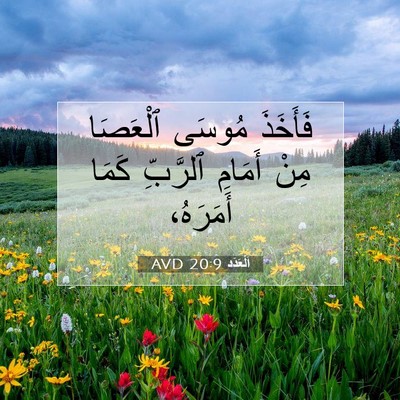 Picture 07 - اَلْعَدَد 20:9 AVD - فَأَخَذَ مُوسَى ٱلْعَصَا - Bible Verse Picture