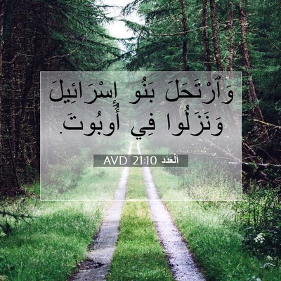 Picture 07 - اَلْعَدَد 21:10 AVD - وَٱرْتَحَلَ بَنُو - Bible Verse Picture