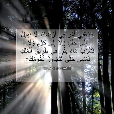 Picture 07 - اَلْعَدَد 21:22 AVD - «دَعْنِي أَمُرَّ فِي - Bible Verse Picture
