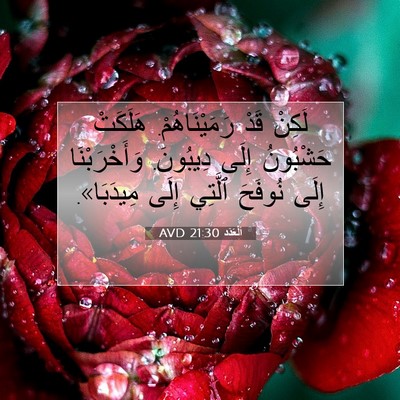 Picture 07 - اَلْعَدَد 21:30 AVD - لَكِنْ قَدْ رَمَيْنَاهُمْ. - Bible Verse Picture