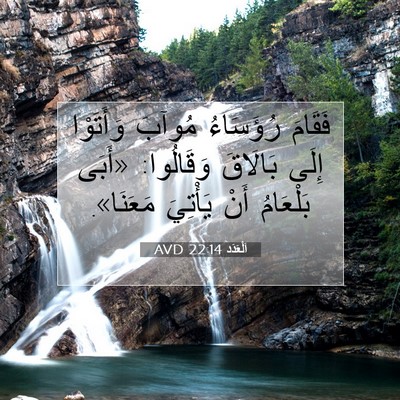Picture 07 - اَلْعَدَد 22:14 AVD - فَقَامَ رُؤَسَاءُ مُوآبَ - Bible Verse Picture
