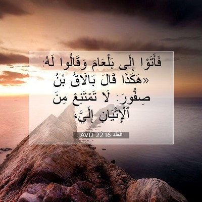 Picture 07 - اَلْعَدَد 22:16 AVD - فَأَتَوْا إِلَى بَلْعَامَ - Bible Verse Picture