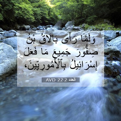 Picture 07 - اَلْعَدَد 22:2 AVD - وَلَمَّا رَأَى بَالَاقُ - Bible Verse Picture