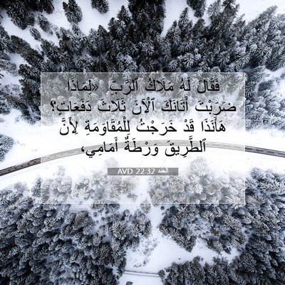Picture 07 - اَلْعَدَد 22:32 AVD - فَقَالَ لَهُ مَلَاكُ - Bible Verse Picture