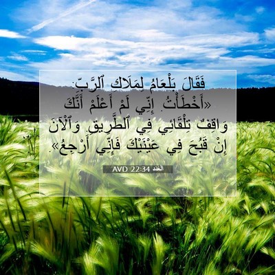 Picture 07 - اَلْعَدَد 22:34 AVD - فَقَالَ بَلْعَامُ - Bible Verse Picture
