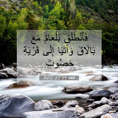 Picture 07 - اَلْعَدَد 22:39 AVD - فَٱنْطَلَقَ بَلْعَامُ - Bible Verse Picture