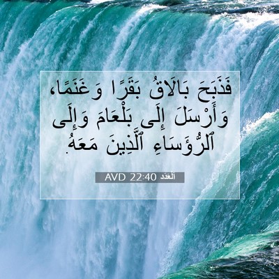 Picture 07 - اَلْعَدَد 22:40 AVD - فَذَبَحَ بَالَاقُ بَقَرًا - Bible Verse Picture