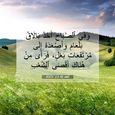 Picture 07 - اَلْعَدَد 22:41 AVD - وَفِي ٱلصَّبَاحِ أَخَذَ - Bible Verse Picture