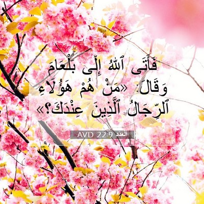 Picture 07 - اَلْعَدَد 22:9 AVD - فَأَتَى ٱللهُ إِلَى - Bible Verse Picture
