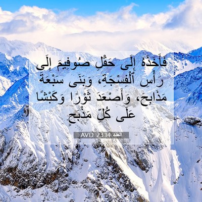 Picture 07 - اَلْعَدَد 23:14 AVD - فَأَخَذَهُ إِلَى حَقْلِ - Bible Verse Picture