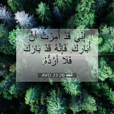 Picture 07 - اَلْعَدَد 23:20 AVD - إِنِّي قَدْ أُمِرْتُ أَنْ - Bible Verse Picture
