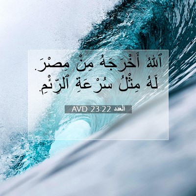 Picture 07 - اَلْعَدَد 23:22 AVD - ٱللهُ أَخْرَجَهُ مِنْ - Bible Verse Picture