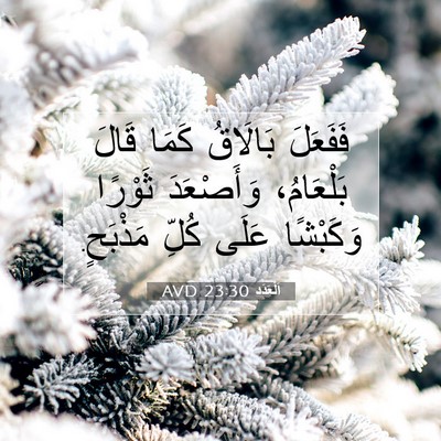 Picture 07 - اَلْعَدَد 23:30 AVD - فَفَعَلَ بَالَاقُ كَمَا - Bible Verse Picture
