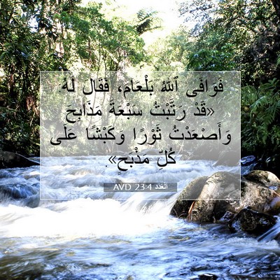 Picture 07 - اَلْعَدَد 23:4 AVD - فَوَافَى ٱللهُ بَلْعَامَ، - Bible Verse Picture
