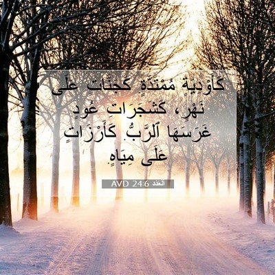 Picture 07 - اَلْعَدَد 24:6 AVD - كَأَوْدِيَةٍ مُمْتَدَّةٍ. - Bible Verse Picture