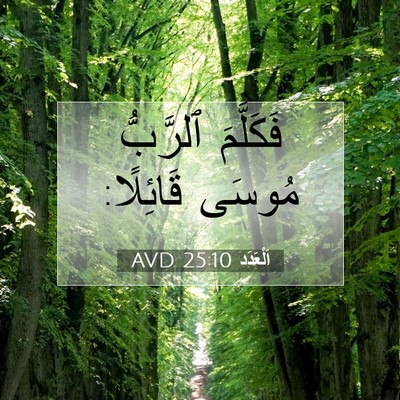 Picture 07 - اَلْعَدَد 25:10 AVD - فَكَلَّمَ ٱلرَّبُّ مُوسَى - Bible Verse Picture