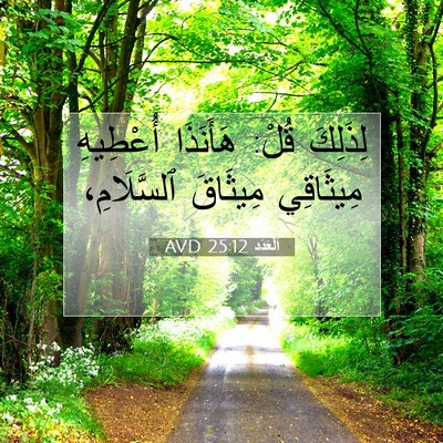 Picture 07 - اَلْعَدَد 25:12 AVD - لِذَلِكَ قُلْ: هَأَنَذَا - Bible Verse Picture