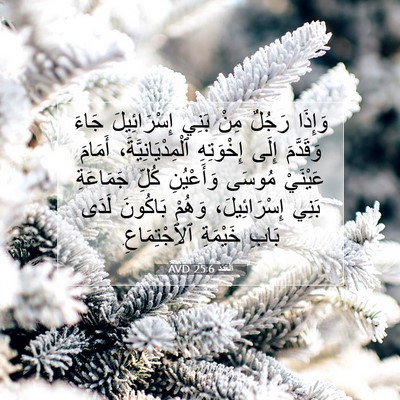 Picture 07 - اَلْعَدَد 25:6 AVD - وَإِذَا رَجُلٌ مِنْ بَنِي - Bible Verse Picture