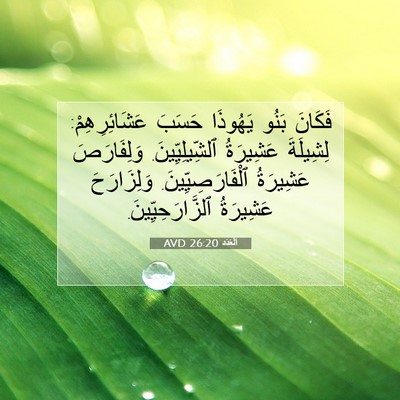 Picture 07 - اَلْعَدَد 26:20 AVD - فَكَانَ بَنُو يَهُوذَا - Bible Verse Picture