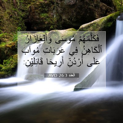 Picture 07 - اَلْعَدَد 26:3 AVD - فَكَلَّمَهُمْ مُوسَى - Bible Verse Picture