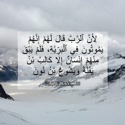 Picture 07 - اَلْعَدَد 26:65 AVD - لِأَنَّ ٱلرَّبَّ قَالَ - Bible Verse Picture