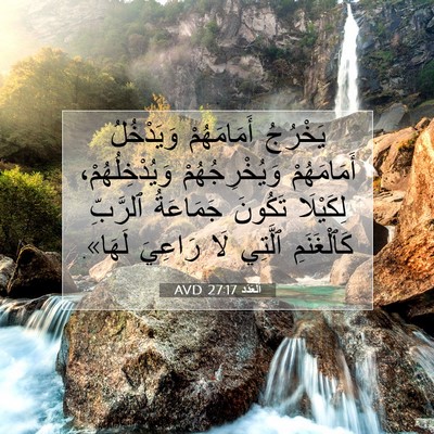 Picture 07 - اَلْعَدَد 27:17 AVD - يَخْرُجُ أَمَامَهُمْ - Bible Verse Picture