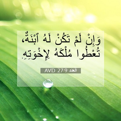 Picture 07 - اَلْعَدَد 27:9 AVD - وَإِنْ لَمْ تَكُنْ لَهُ - Bible Verse Picture