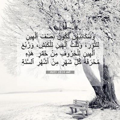 Picture 07 - اَلْعَدَد 28:14 AVD - وَسَكَائِبُهُنَّ تَكُونُ - Bible Verse Picture