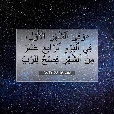 Picture 07 - اَلْعَدَد 28:16 AVD - «وَفِي ٱلشَّهْرِ - Bible Verse Picture