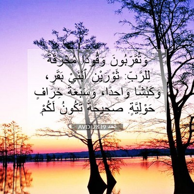 Picture 07 - اَلْعَدَد 28:19 AVD - وَتُقَرِّبُونَ وَقُودًا - Bible Verse Picture