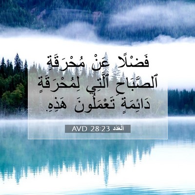 Picture 07 - اَلْعَدَد 28:23 AVD - فَضْلًا عَنْ مُحْرَقَةِ - Bible Verse Picture