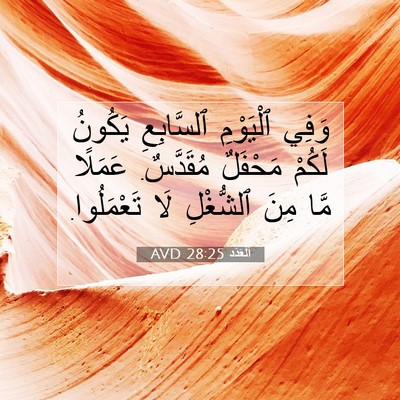 Picture 07 - اَلْعَدَد 28:25 AVD - وَفِي ٱلْيَوْمِ - Bible Verse Picture