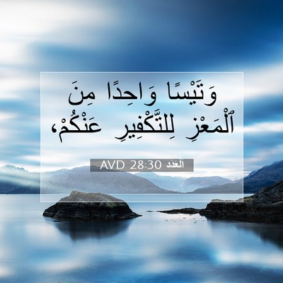 Picture 07 - اَلْعَدَد 28:30 AVD - وَتَيْسًا وَاحِدًا مِنَ - Bible Verse Picture
