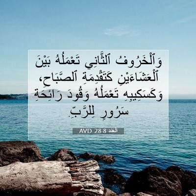 Picture 07 - اَلْعَدَد 28:8 AVD - وَٱلْخَرُوفُ ٱلثَّانِي - Bible Verse Picture